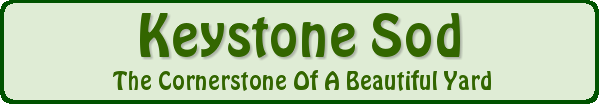 Keystone Sod ~ The cornerstone of a beautiful yard